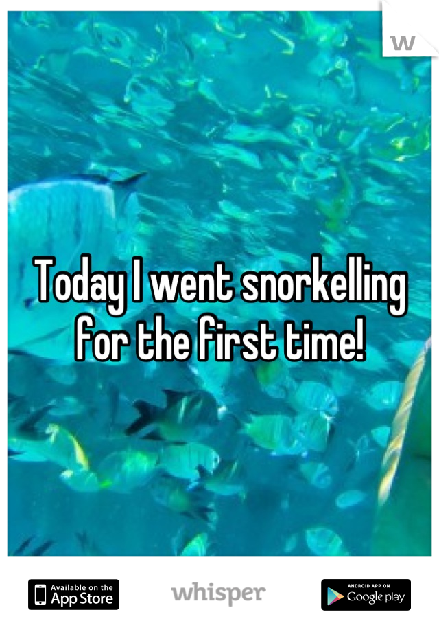 Today I went snorkelling for the first time!