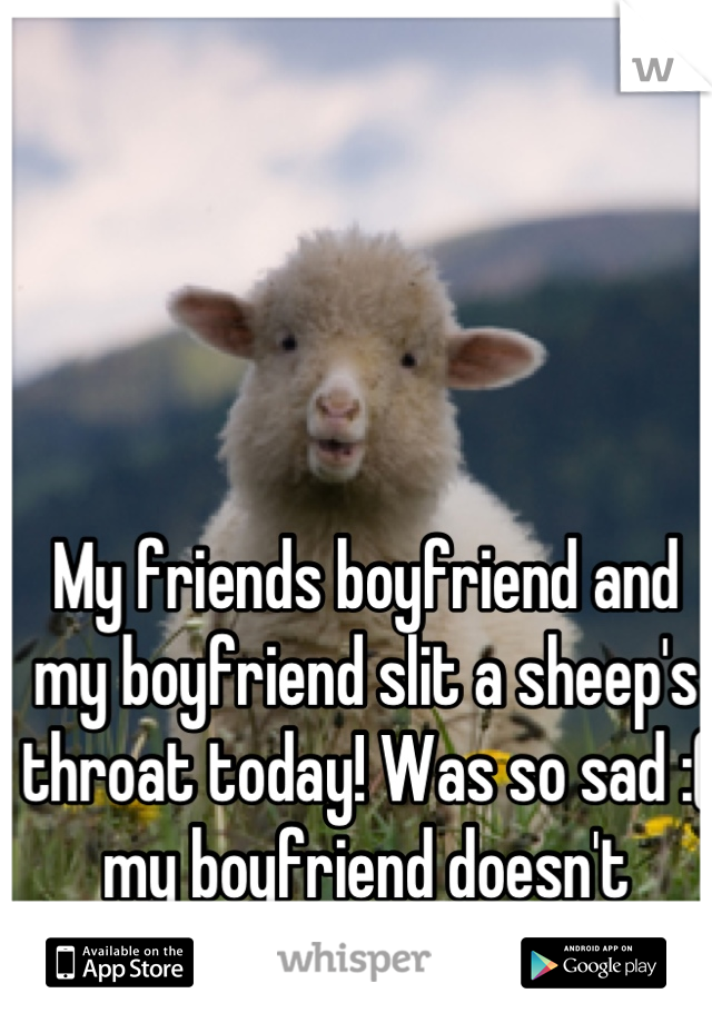 My friends boyfriend and my boyfriend slit a sheep's throat today! Was so sad :( my boyfriend doesn't respect me!