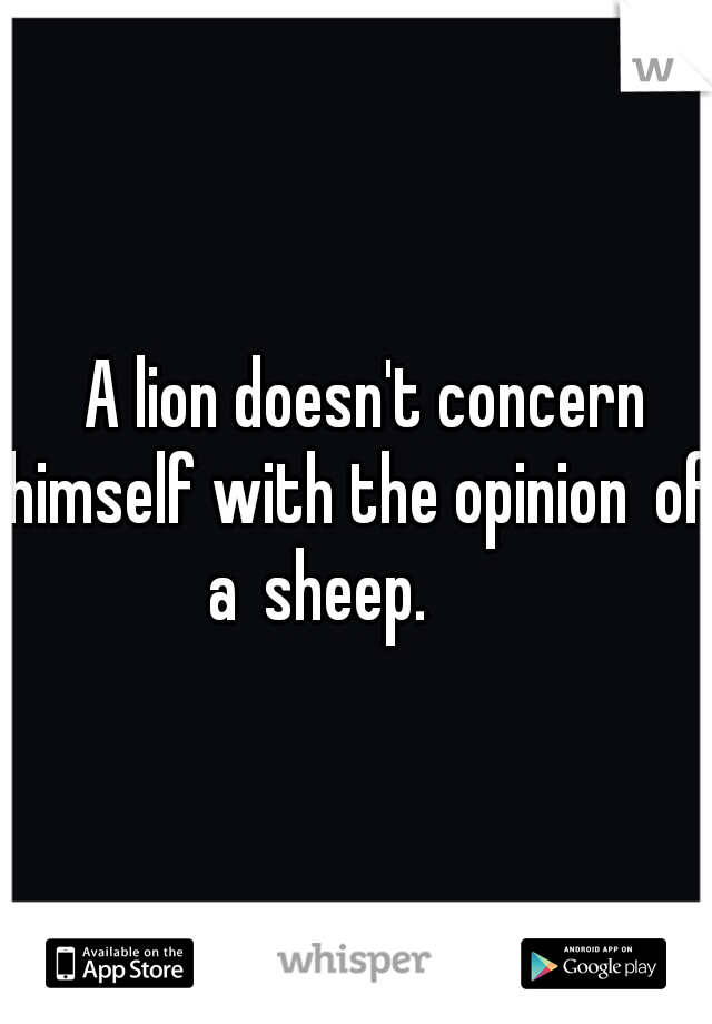  A lion doesn't concern himself with the opinion of a sheep. 

