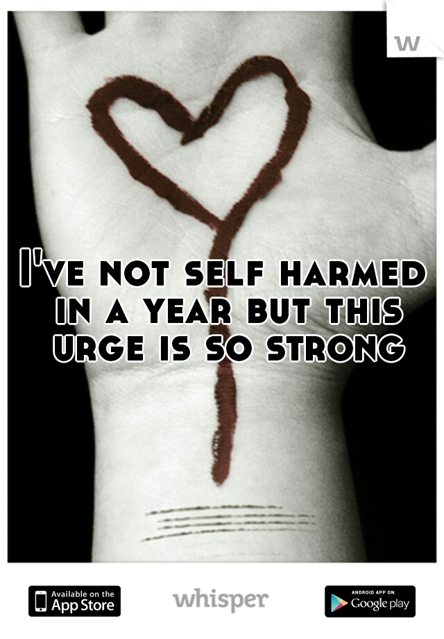 I've not self harmed in a year but this urge is so strong