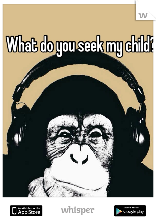 What do you seek my child?
