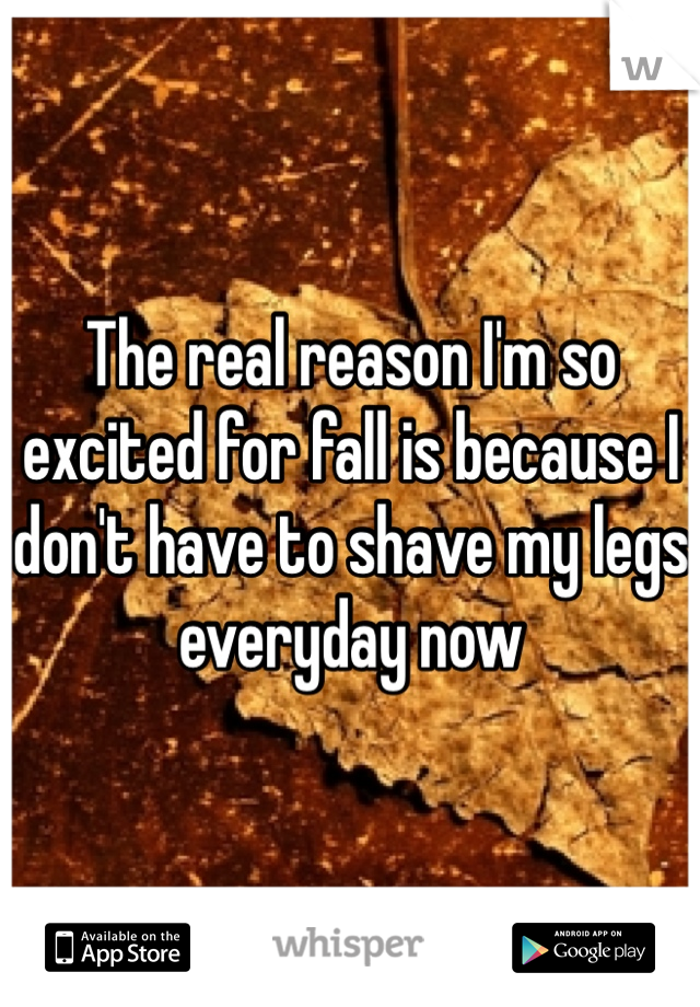 The real reason I'm so excited for fall is because I don't have to shave my legs everyday now