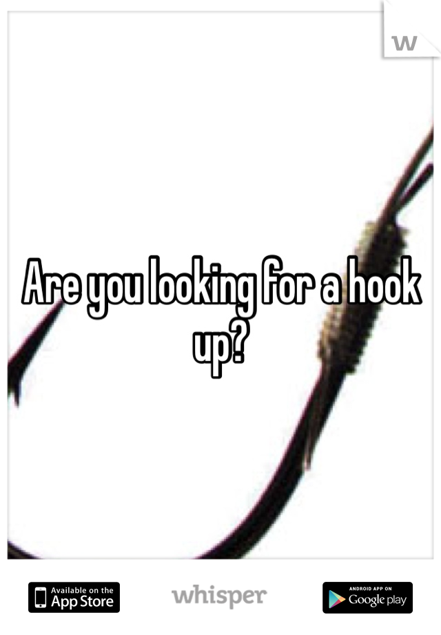 Are you looking for a hook up?