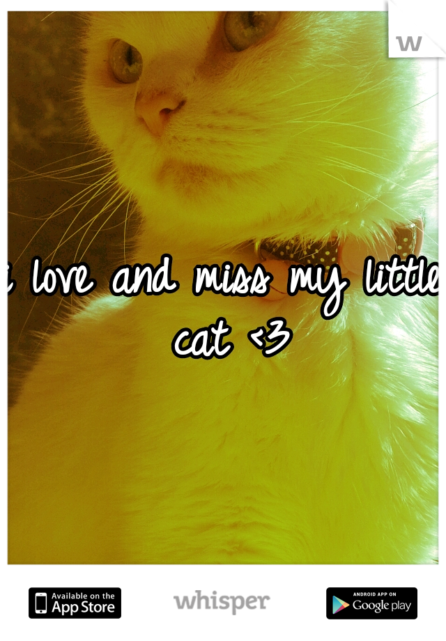 i love and miss my little cat <3