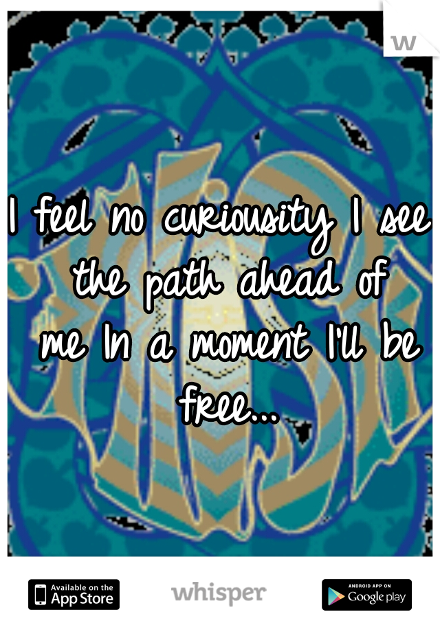 I feel no curiousity
I see the path ahead of me
In a moment I'll be free...