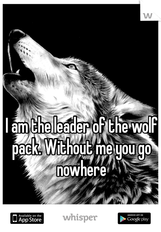 I am the leader of the wolf pack. Without me you go nowhere 