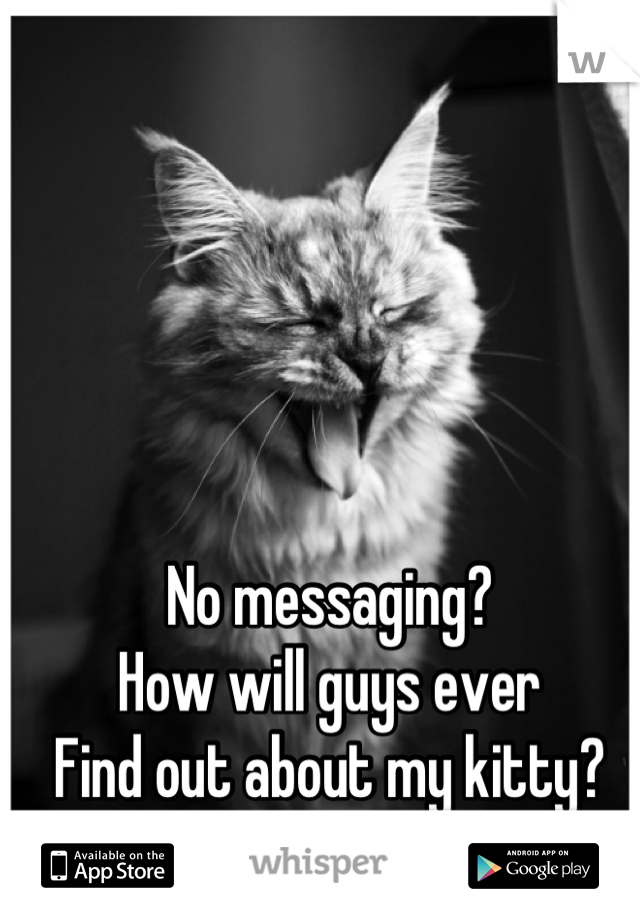 No messaging?
How will guys ever
Find out about my kitty?