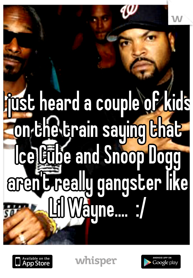 I just heard a couple of kids on the train saying that Ice Cube and Snoop Dogg aren't really gangster like Lil Wayne....  :/