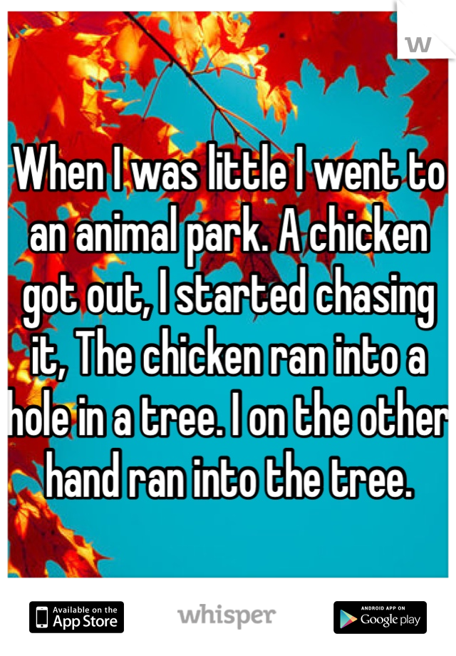 When I was little I went to an animal park. A chicken got out, I started chasing it, The chicken ran into a hole in a tree. I on the other hand ran into the tree. 