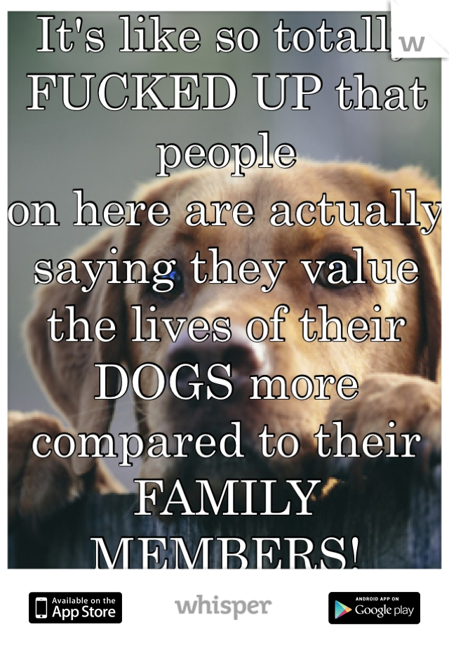 It's like so totally
FUCKED UP that people
on here are actually saying they value the lives of their DOGS more compared to their FAMILY MEMBERS! 
WOW!