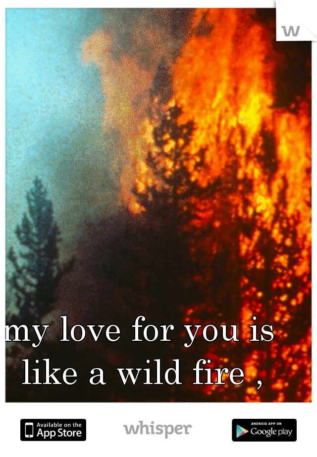 my love for you is like a wild fire , unstoppable !