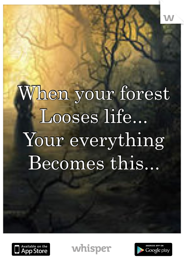 When your forest
Looses life... 
Your everything 
Becomes this...