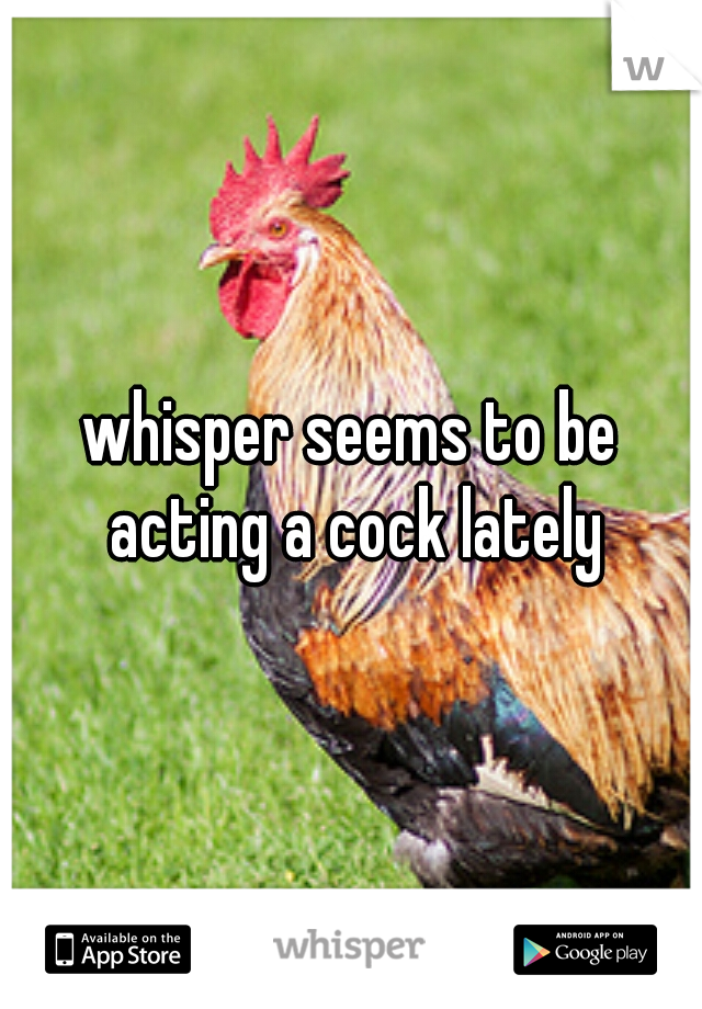 whisper seems to be acting a cock lately