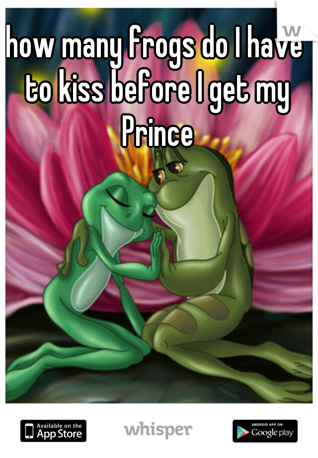 how many frogs do I have to kiss before I get my Prince