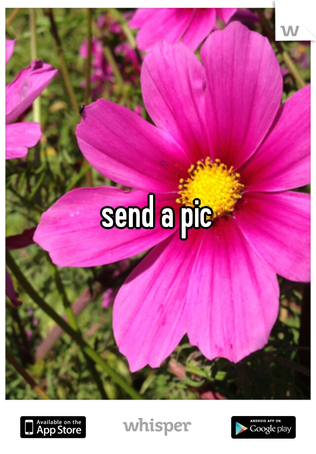 send a pic