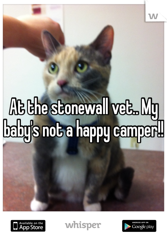 At the stonewall vet.. My baby's not a happy camper!!