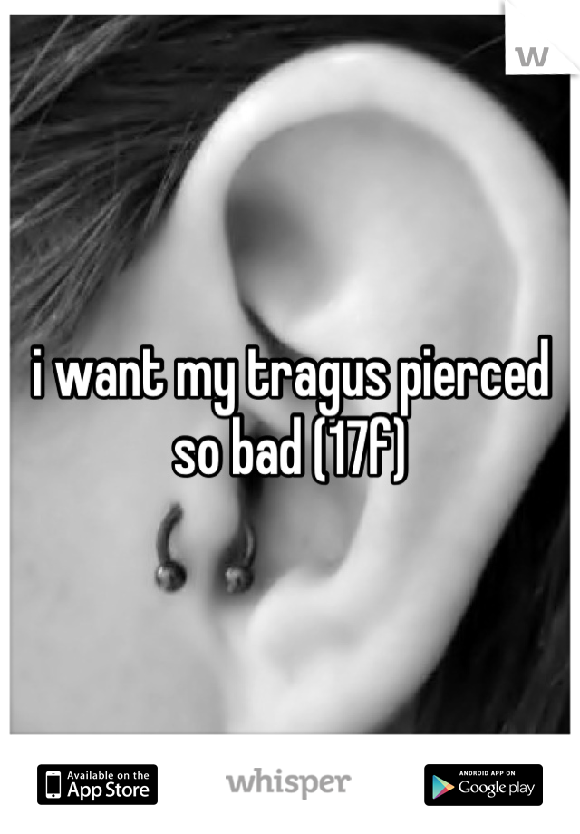 i want my tragus pierced so bad (17f)
