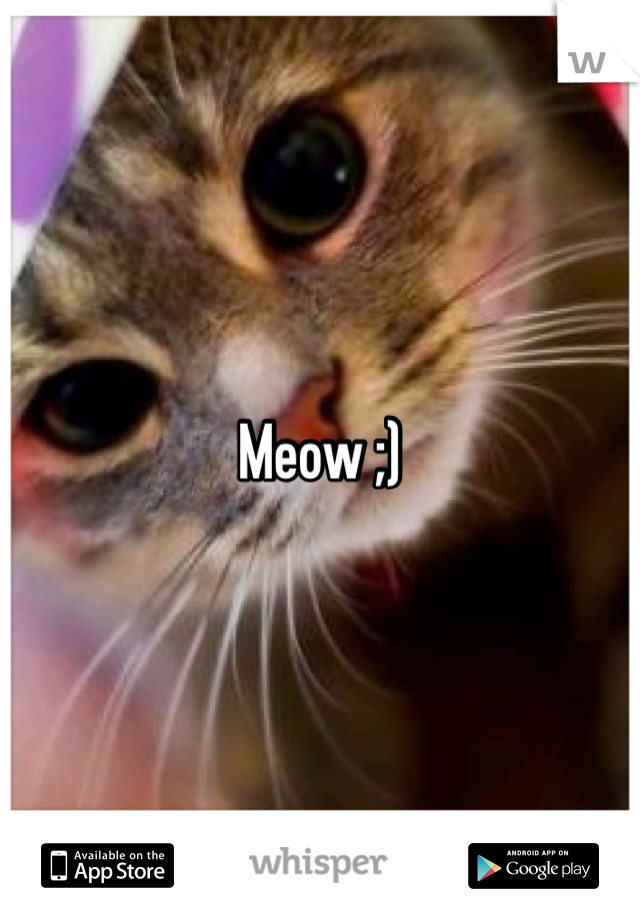 Meow ;)