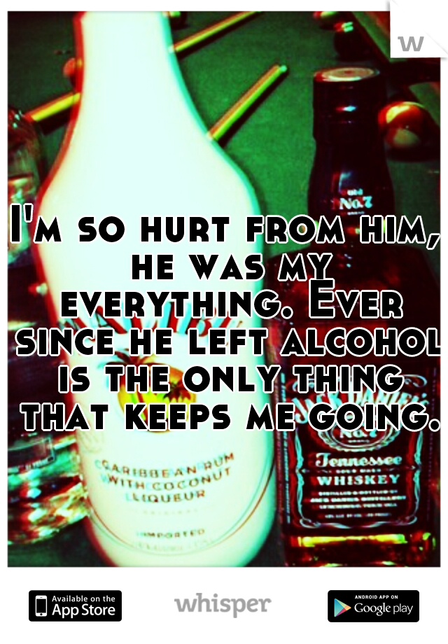 I'm so hurt from him, he was my everything. Ever since he left alcohol is the only thing that keeps me going.