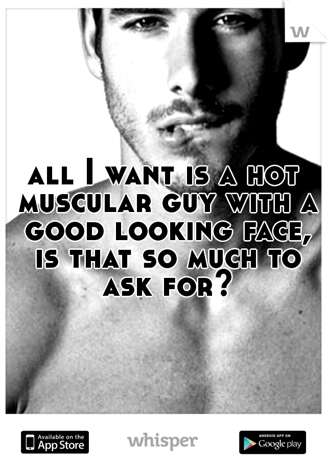 all I want is a hot muscular guy with a good looking face, is that so much to ask for?