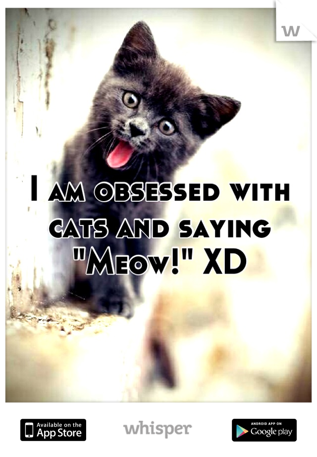 I am obsessed with cats and saying "Meow!" XD