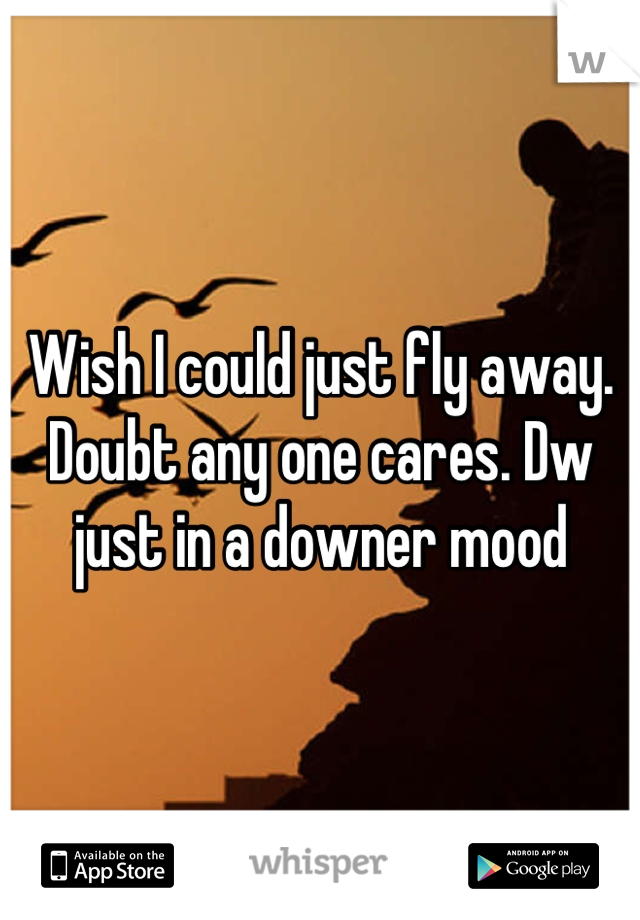 Wish I could just fly away. Doubt any one cares. Dw just in a downer mood