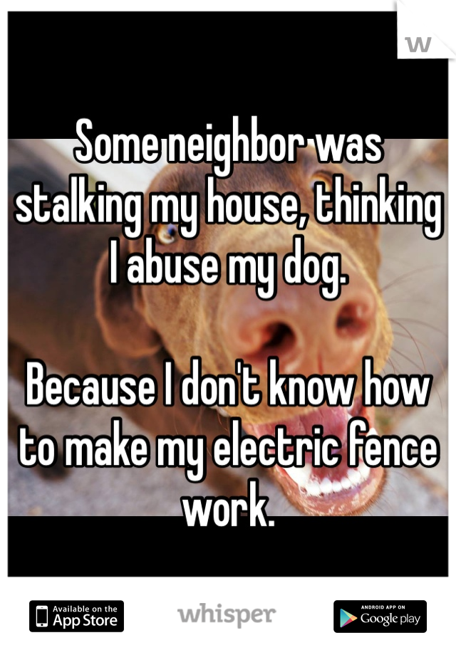 Some neighbor was stalking my house, thinking I abuse my dog. 

Because I don't know how to make my electric fence work. 