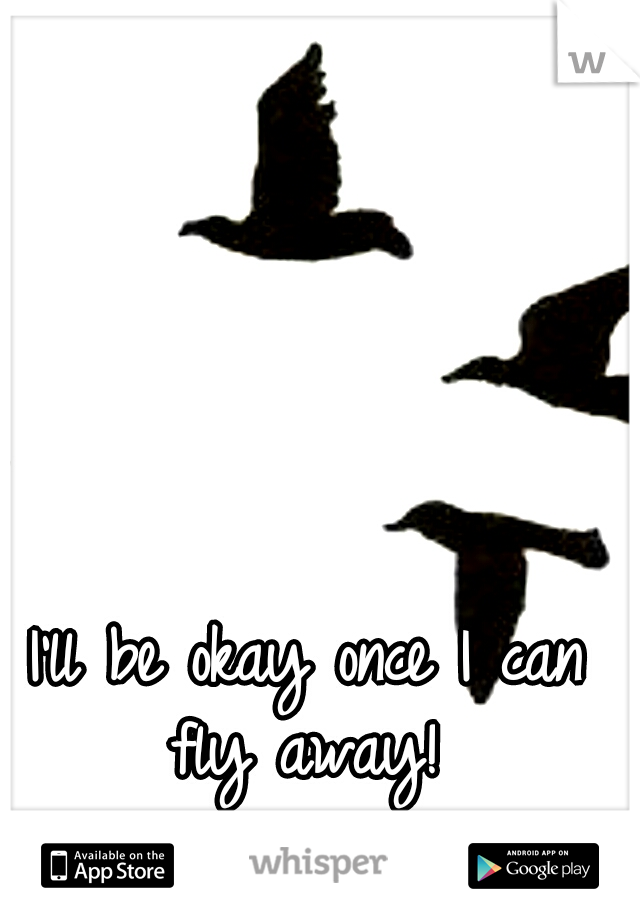 I'll be okay once I can fly away! 