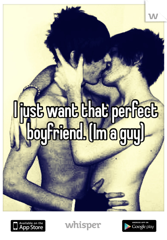 I just want that perfect boyfriend. (Im a guy) 