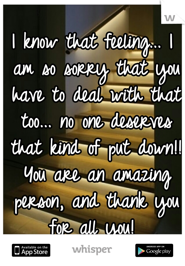I know that feeling... I am so sorry that you have to deal with that too... no one deserves that kind of put down!! You are an amazing person, and thank you for all you! 