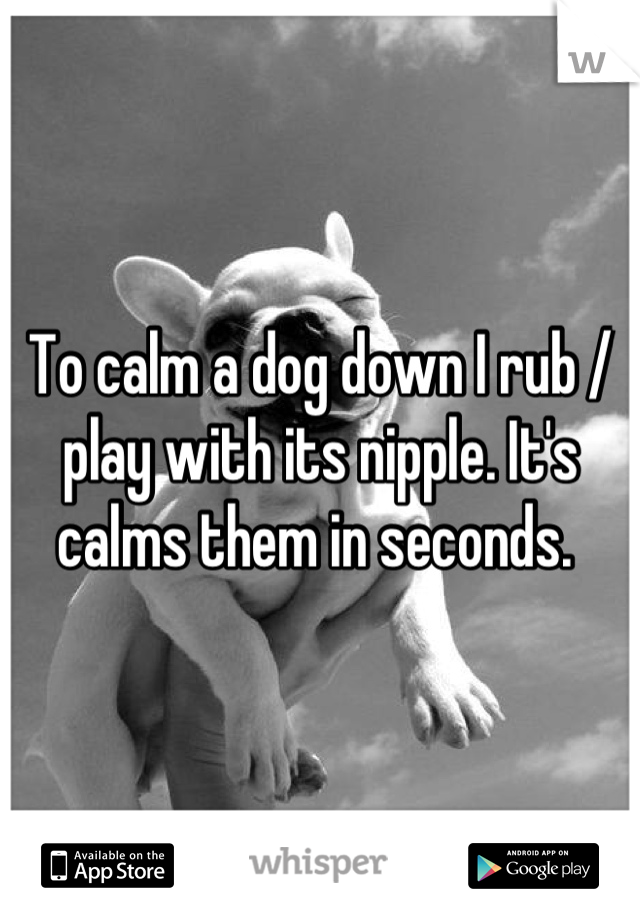 To calm a dog down I rub / play with its nipple. It's calms them in seconds. 