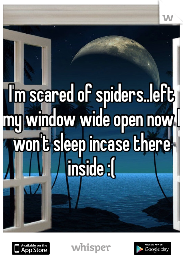 I'm scared of spiders..left my window wide open now I won't sleep incase there inside :(