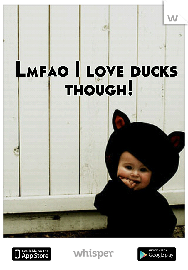 Lmfao I love ducks though!