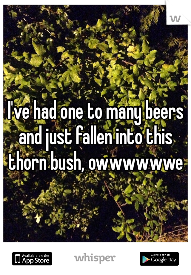 I've had one to many beers and just fallen into this thorn bush, owwwwwwe