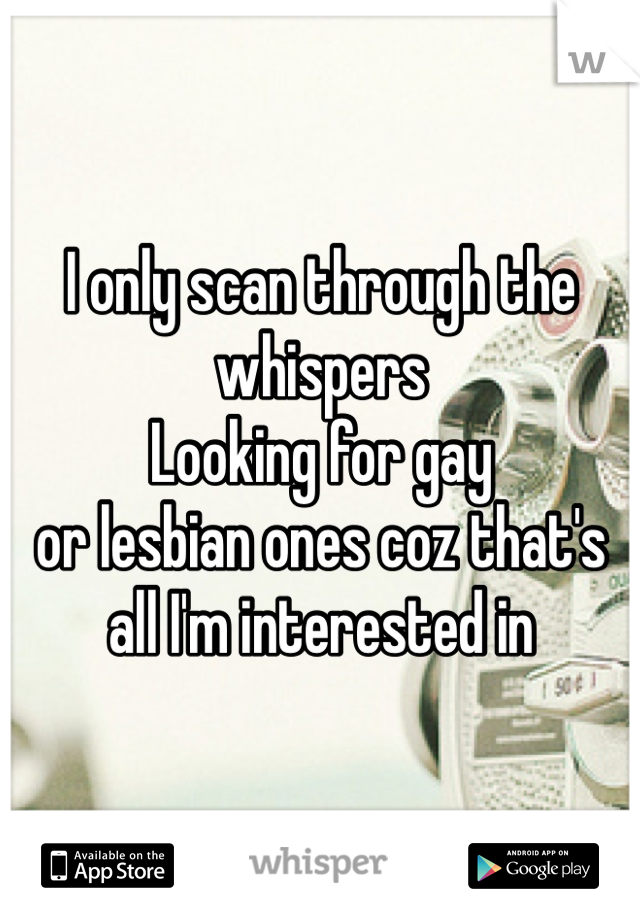I only scan through the whispers
Looking for gay 
or lesbian ones coz that's all I'm interested in