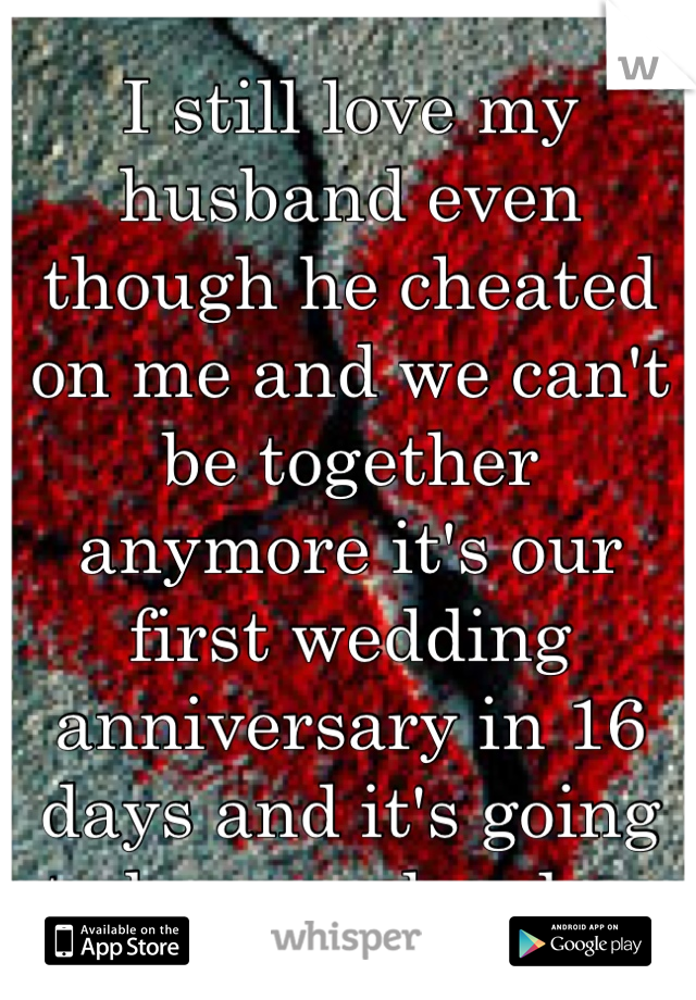 I still love my husband even though he cheated on me and we can't be together anymore it's our first wedding anniversary in 16 days and it's going to be so so hard ....