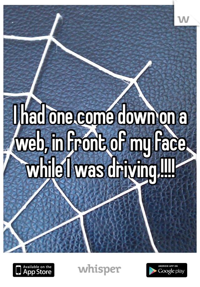 I had one come down on a web, in front of my face while I was driving !!!!