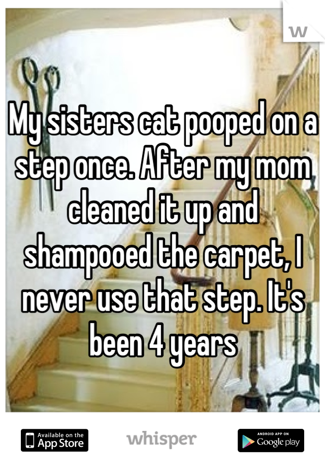 My sisters cat pooped on a step once. After my mom cleaned it up and shampooed the carpet, I never use that step. It's been 4 years