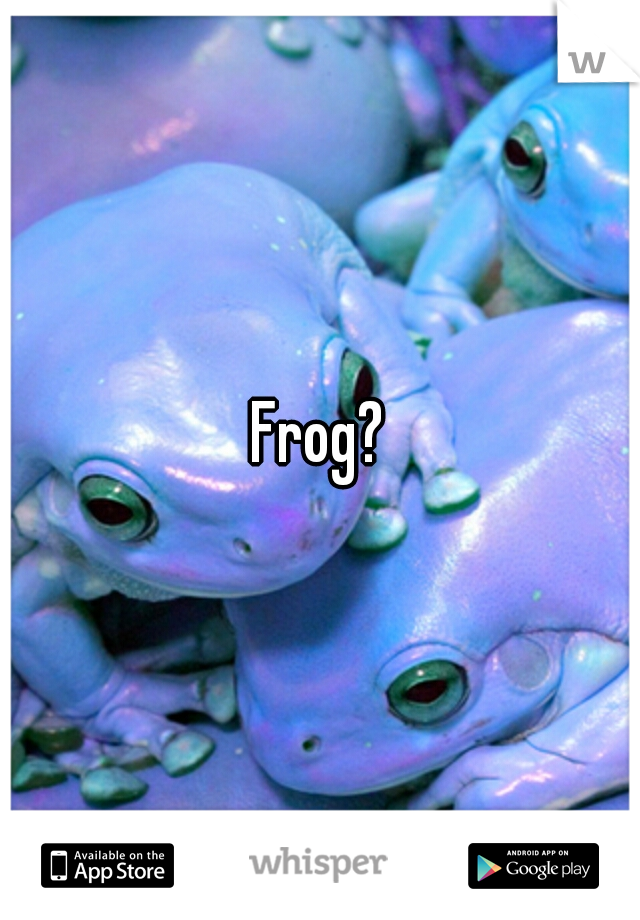Frog?