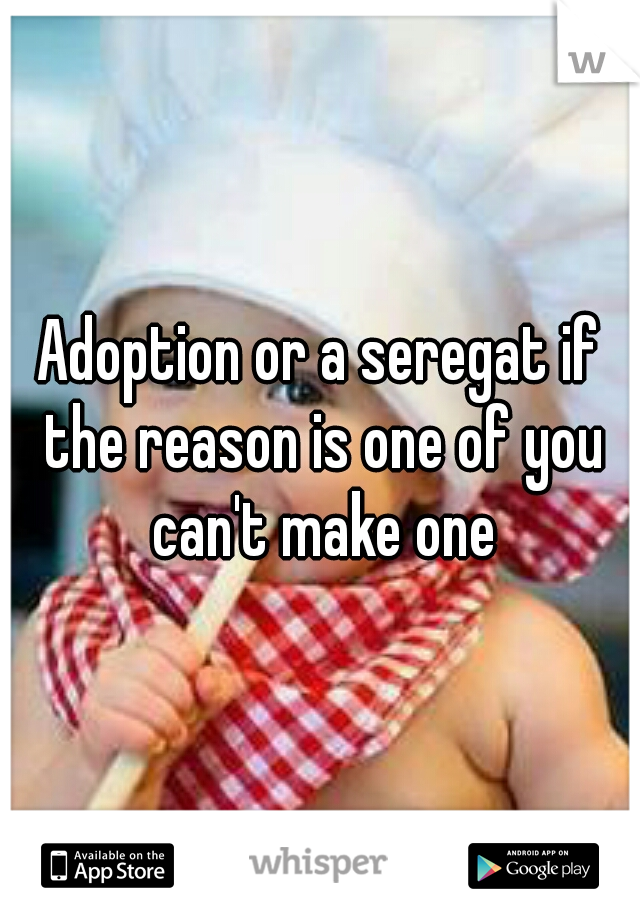Adoption or a seregat if the reason is one of you can't make one