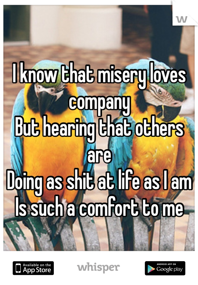 I know that misery loves company
But hearing that others are
Doing as shit at life as I am
Is such a comfort to me