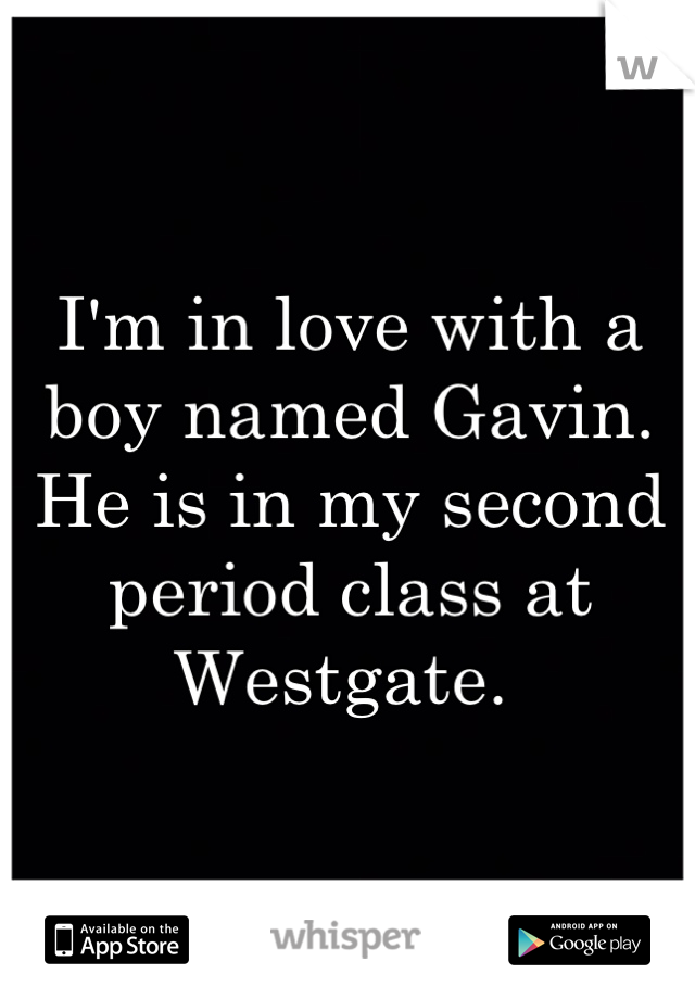 I'm in love with a boy named Gavin. He is in my second period class at Westgate. 