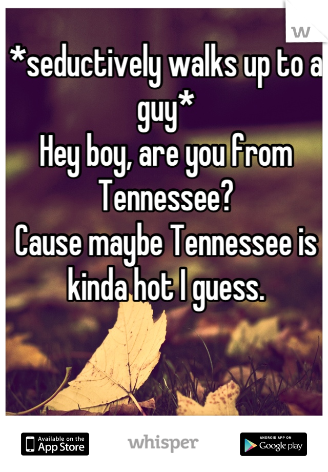 *seductively walks up to a guy*
Hey boy, are you from Tennessee?
Cause maybe Tennessee is kinda hot I guess.