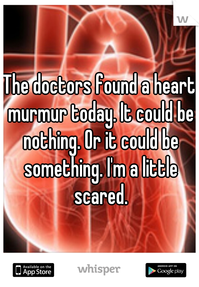 The doctors found a heart murmur today. It could be nothing. Or it could be something. I'm a little scared.
