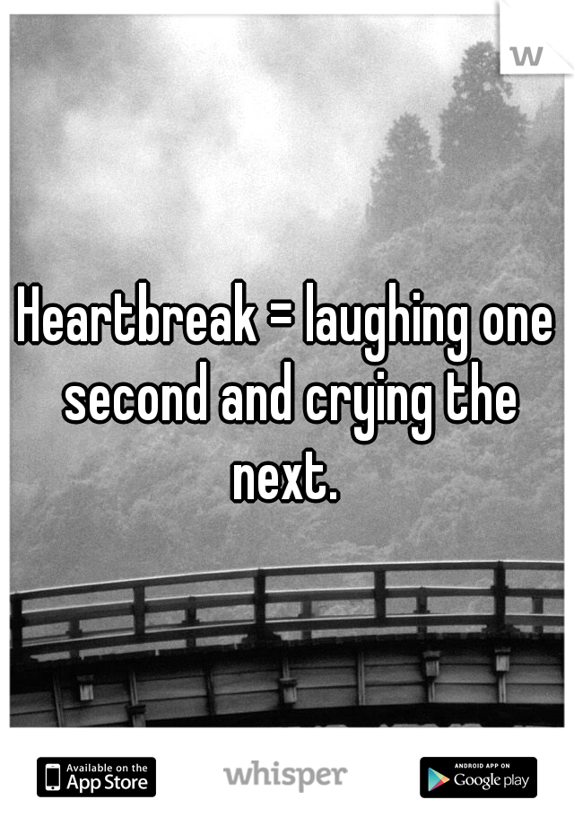 Heartbreak = laughing one second and crying the next. 