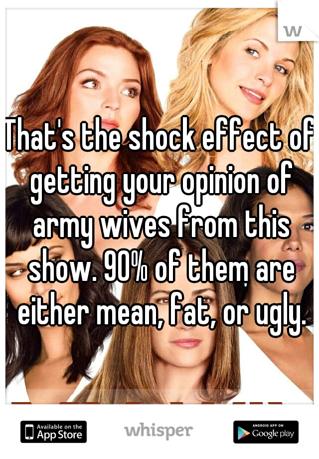 That's the shock effect of getting your opinion of army wives from this show. 90% of them are either mean, fat, or ugly.
