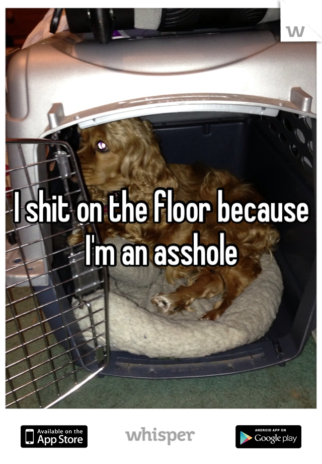 I shit on the floor because I'm an asshole