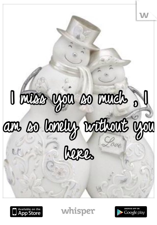 I miss you so much , I am so lonely without you here.