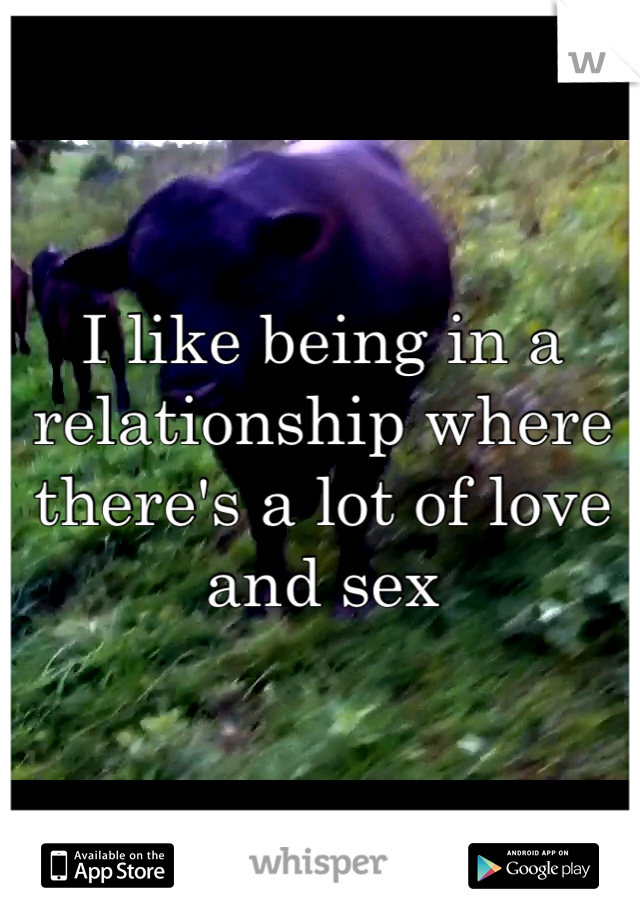 I like being in a relationship where there's a lot of love and sex