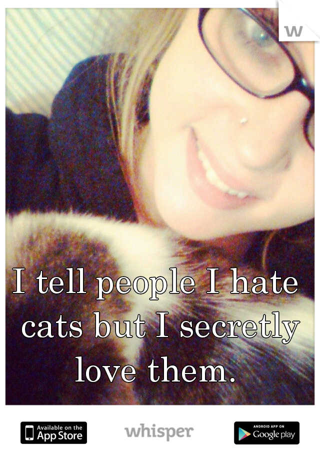 I tell people I hate cats but I secretly love them. 